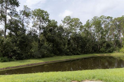 Villa ou maison à vendre à Wesley Chapel, Floride: 3 chambres, 120.03 m2 № 2273260 - photo 4