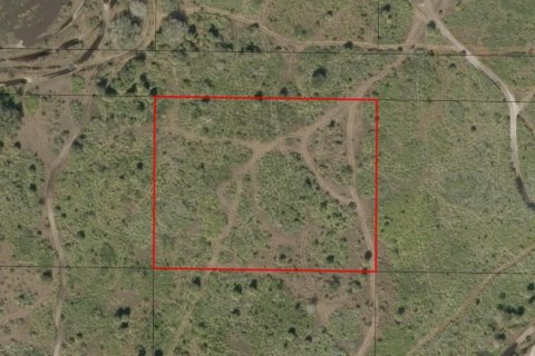 Immobilier commercial à Okeechobee, Floride № 2390163