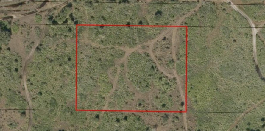 Immobilier commercial à Okeechobee, Floride № 2390163