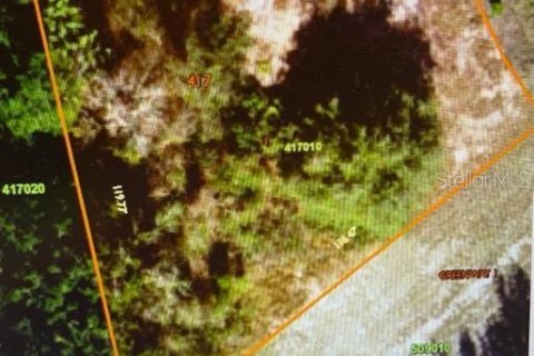 Land in Kissimmee, Florida № 2212321 - photo 4