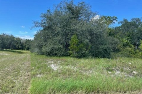Land in Kissimmee, Florida № 2212321 - photo 2