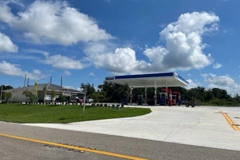 Land in Kissimmee, Florida № 2212321 - photo 3