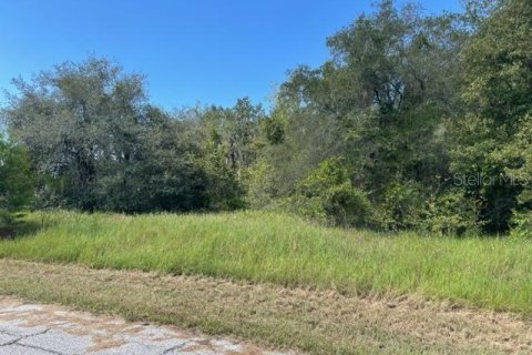 Land in Kissimmee, Florida № 2212321
