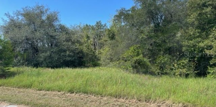 Land in Kissimmee, Florida № 2212321