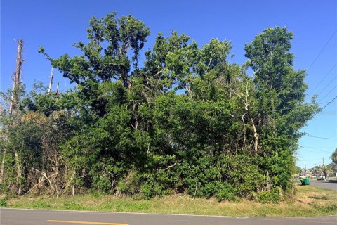Land in Englewood, Florida № 2232799 - photo 3