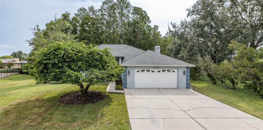 House in New Port Richey, Florida 4 bedrooms, 215.53 sq.m. № 1900305