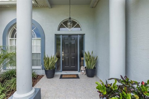 House in New Port Richey, Florida 4 bedrooms, 215.53 sq.m. № 1900305 - photo 3