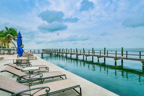Condominio en alquiler en Saint Petersburg, Florida, 1 dormitorio, 64.47 m2 № 1899473 - foto 24