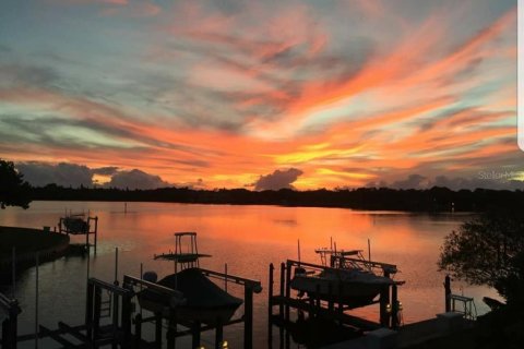 Condominio en alquiler en Saint Petersburg, Florida, 1 dormitorio, 64.47 m2 № 1899473 - foto 22