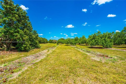 Terreno en venta en Homestead, Florida № 1841355 - foto 20