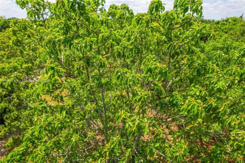 Terreno en venta en Homestead, Florida № 1841355 - foto 11