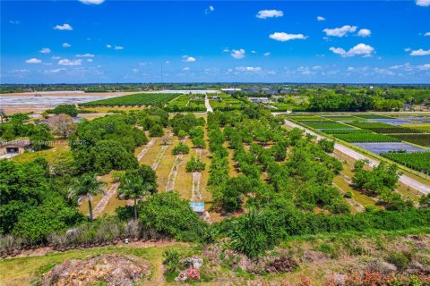 Terreno en venta en Homestead, Florida № 1841355 - foto 10