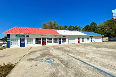 Commercial property in Summerfield, Florida 320.51 sq.m. № 1651420 - photo 2