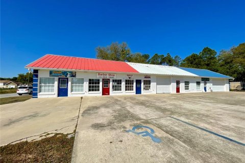 Commercial property in Summerfield, Florida 320.51 sq.m. № 1651420 - photo 3