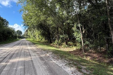 Terrain à Bunnell, Floride № 2356667