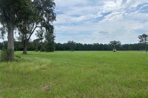 Land in Morriston, Florida № 2275556 - photo 11