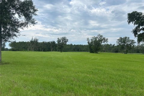 Land in Morriston, Florida № 2275556 - photo 2