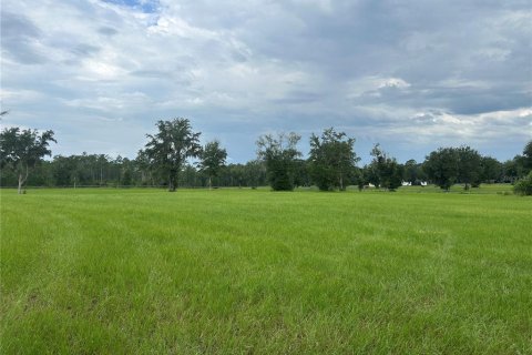 Land in Morriston, Florida № 2275556 - photo 5