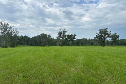 Land in Morriston, Florida № 2275556 - photo 4
