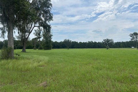 Land in Morriston, Florida № 2275556 - photo 12