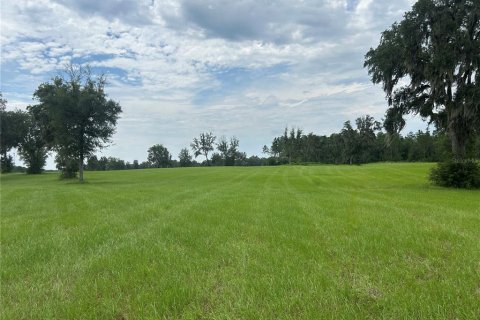 Land in Morriston, Florida № 2275556 - photo 16