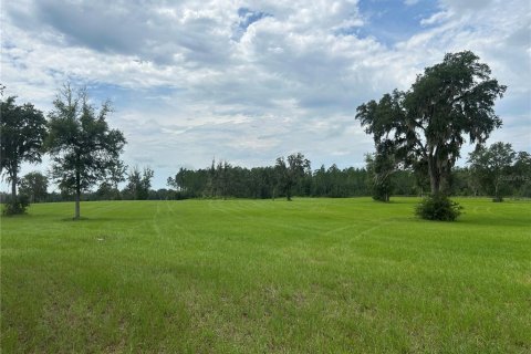 Land in Morriston, Florida № 2275556 - photo 19