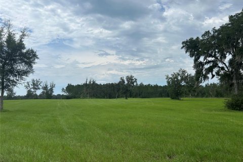 Land in Morriston, Florida № 2275556