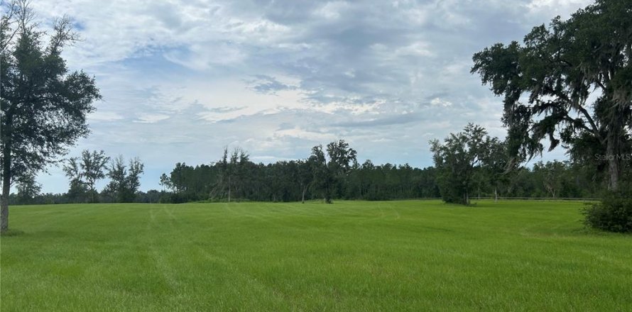 Land in Morriston, Florida № 2275556