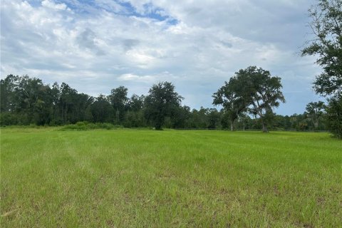 Land in Morriston, Florida № 2275556 - photo 6