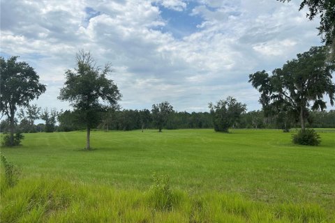 Land in Morriston, Florida № 2275556 - photo 21