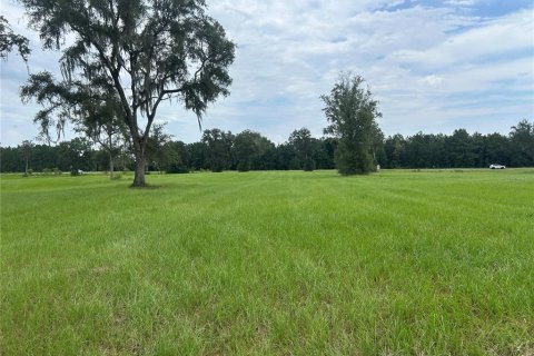 Land in Morriston, Florida № 2275556 - photo 10