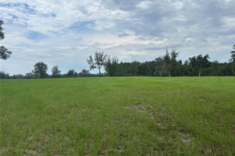 Land in Morriston, Florida № 2275556 - photo 3