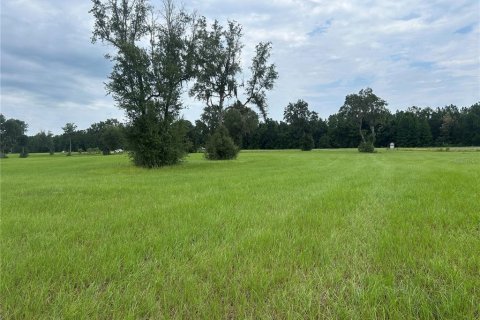 Land in Morriston, Florida № 2275556 - photo 9