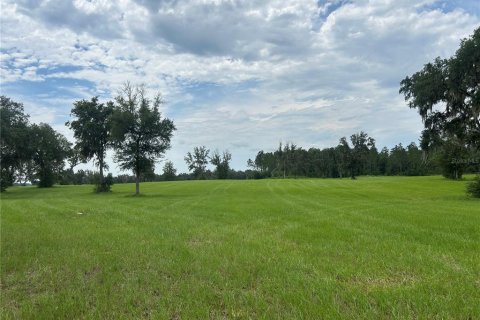 Land in Morriston, Florida № 2275556 - photo 18