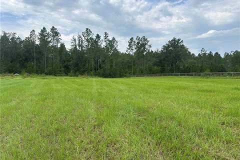 Land in Morriston, Florida № 2275556 - photo 13