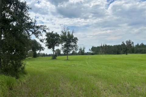 Land in Morriston, Florida № 2275556 - photo 20