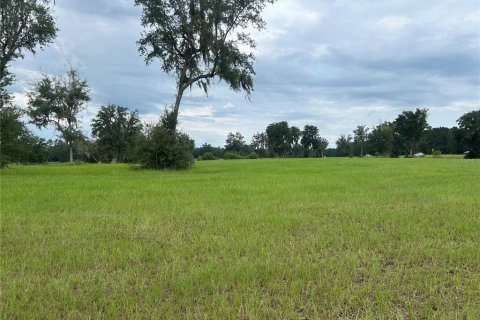 Land in Morriston, Florida № 2275556 - photo 7