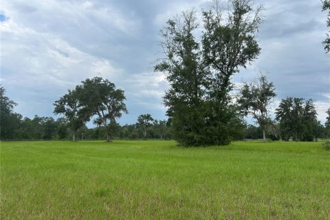 Land in Morriston, Florida № 2275556 - photo 8