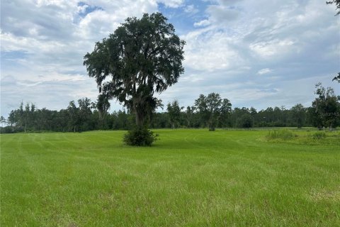 Land in Morriston, Florida № 2275556 - photo 17