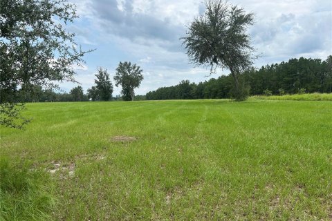 Land in Morriston, Florida № 2275556 - photo 15