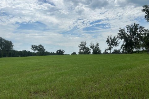 Land in Morriston, Florida № 2275556 - photo 14