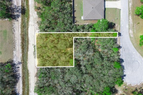 Land in Kissimmee, Florida № 2201016