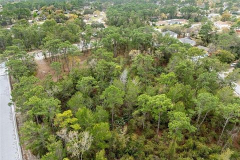Terrain à vendre à Deltona, Floride № 2108680 - photo 13