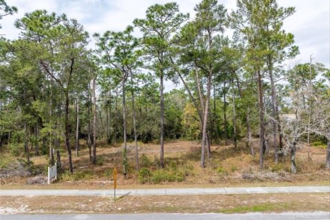 Terrain à Deltona, Floride № 2108680