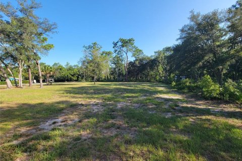 Land in Homosassa, Florida № 2291479