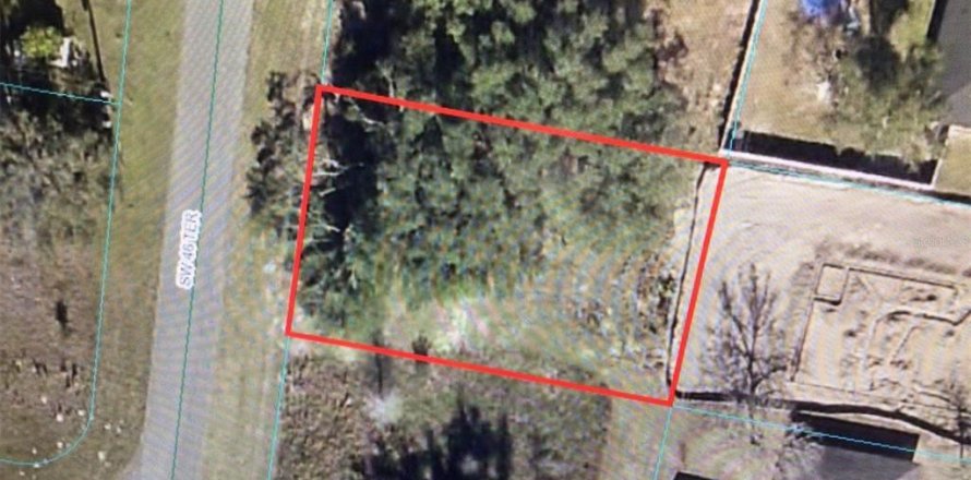 Terrain à Ocala, Floride № 1634400