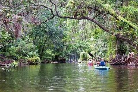Villa ou maison à louer à Tavares, Floride: 1 chambre, 67.45 m2 № 1734309 - photo 27
