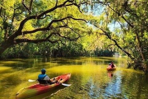 Villa ou maison à louer à Tavares, Floride: 1 chambre, 67.45 m2 № 1734309 - photo 26