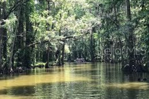 Villa ou maison à louer à Tavares, Floride: 1 chambre, 67.45 m2 № 1734309 - photo 25