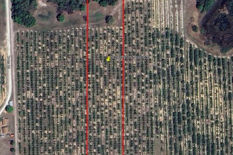Terreno en venta en Lake Wales, Florida № 1765605 - foto 1